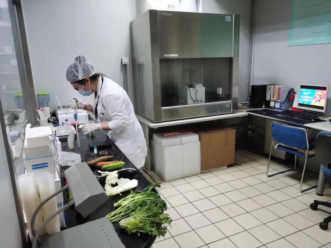 东区食品检测实验室装修方案
